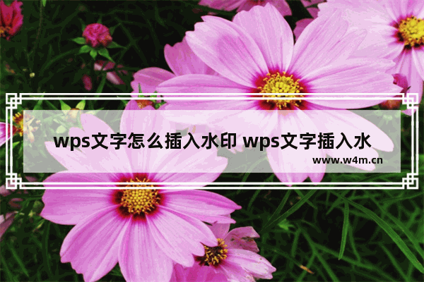 wps文字怎么插入水印 wps文字插入水印教程