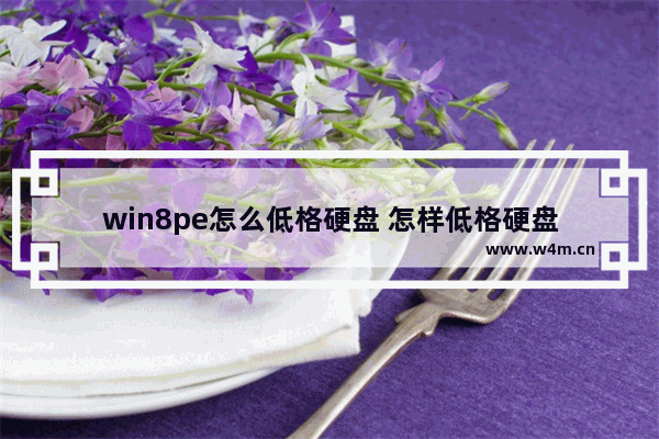 win8pe怎么低格硬盘 怎样低格硬盘