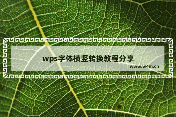 wps字体横竖转换教程分享