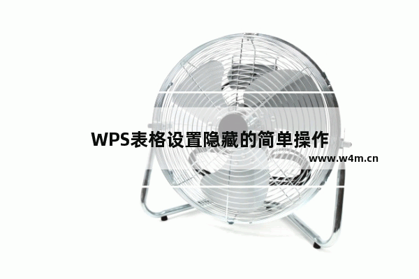 WPS表格设置隐藏的简单操作