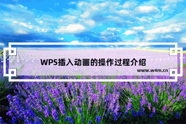 WPS插入动画的操作过程介绍