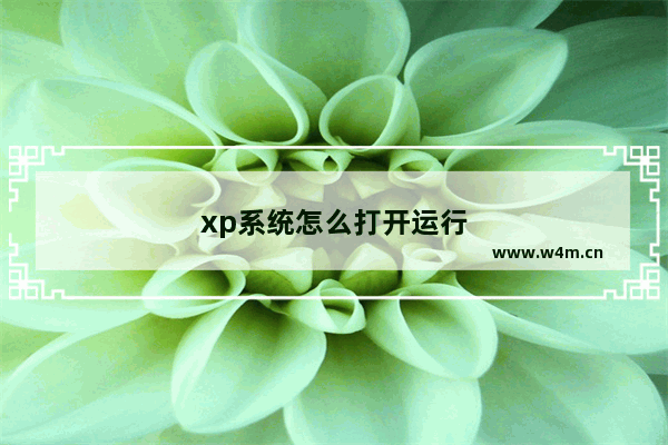 xp系统怎么打开运行