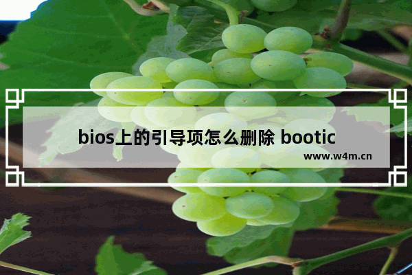 bios上的引导项怎么删除 bootice怎么删除引导