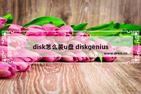 disk怎么装u盘 diskgenius如何安装