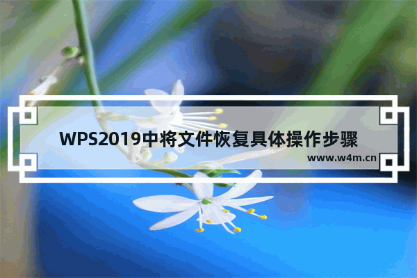 WPS2019中将文件恢复具体操作步骤