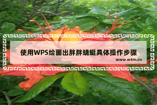 使用WPS绘画出胖胖蜻蜓具体操作步骤