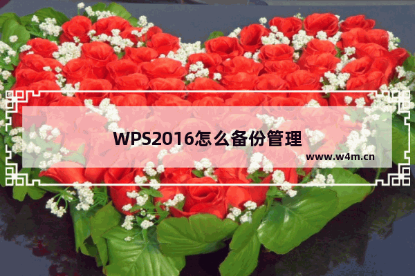 WPS2016怎么备份管理