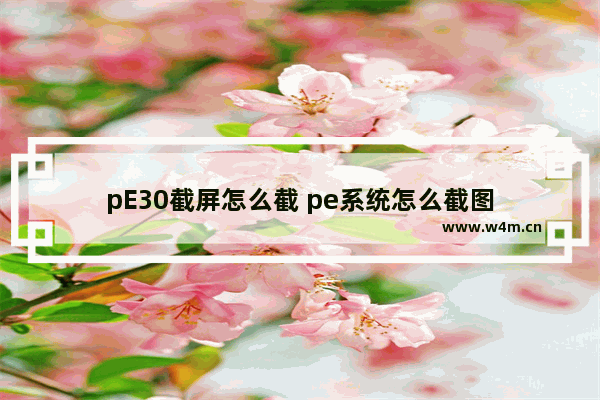 pE30截屏怎么截 pe系统怎么截图