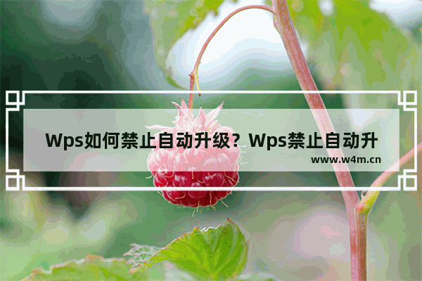 Wps如何禁止自动升级？Wps禁止自动升级的方法