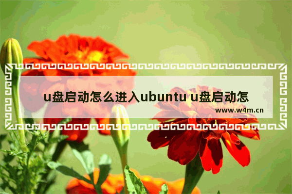 u盘启动怎么进入ubuntu u盘启动怎么进入bios设置