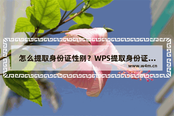 怎么提取身份证性别？WPS提取身份证性别的方法介绍