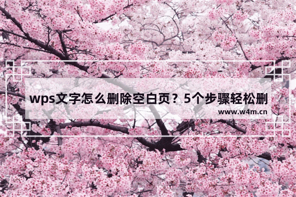 wps文字怎么删除空白页？5个步骤轻松删除空白页！