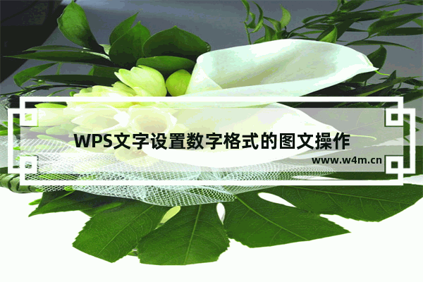 WPS文字设置数字格式的图文操作