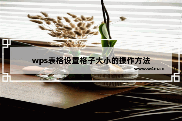 wps表格设置格子大小的操作方法