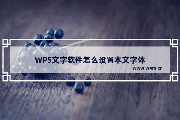 WPS文字软件怎么设置本文字体