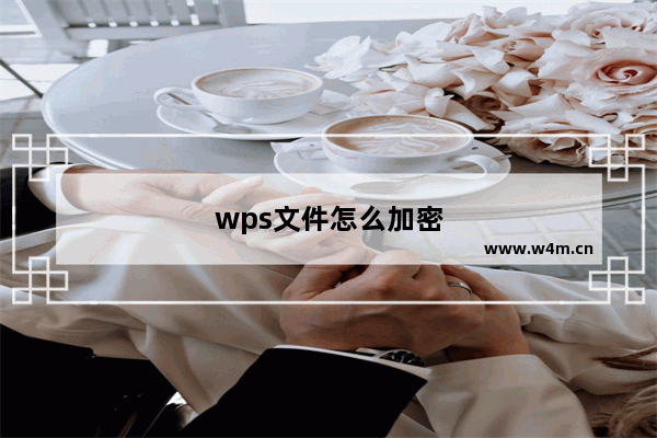 wps文件怎么加密