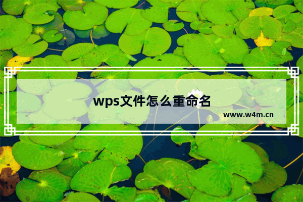 wps文件怎么重命名