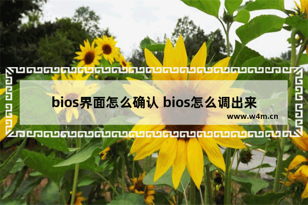 bios界面怎么确认 bios怎么调出来