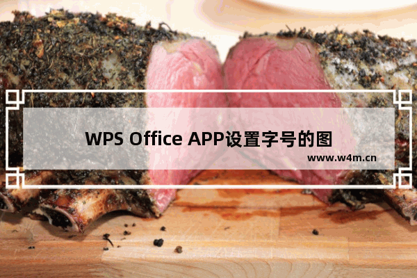 WPS Office APP设置字号的图文教程