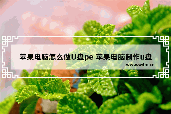 苹果电脑怎么做U盘pe 苹果电脑制作u盘