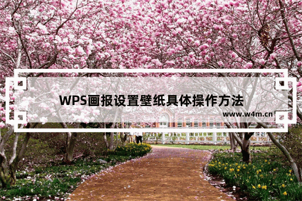 WPS画报设置壁纸具体操作方法