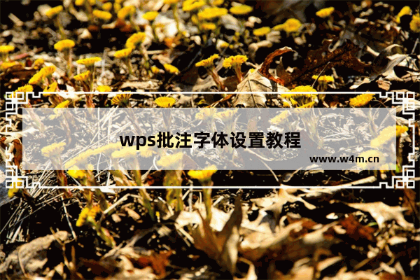 wps批注字体设置教程