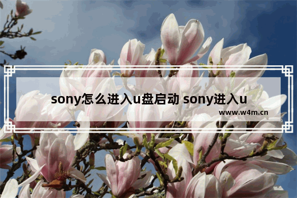 sony怎么进入u盘启动 sony进入u盘启动项