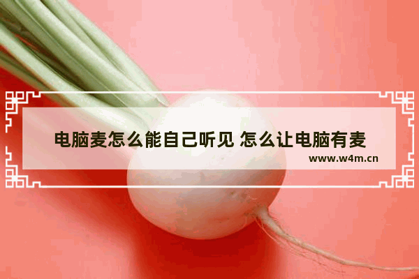 电脑麦怎么能自己听见 怎么让电脑有麦