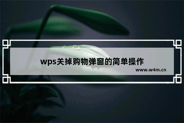 wps关掉购物弹窗的简单操作