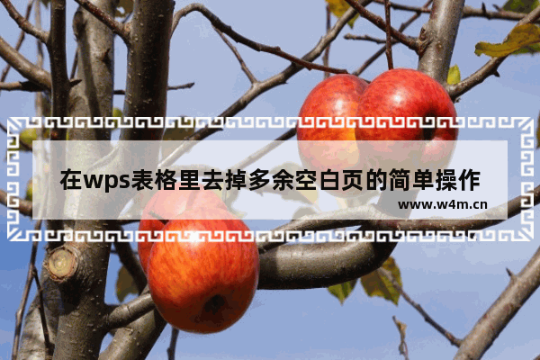 在wps表格里去掉多余空白页的简单操作