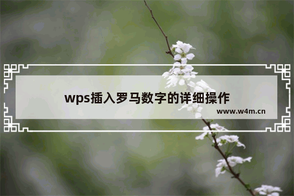 wps插入罗马数字的详细操作