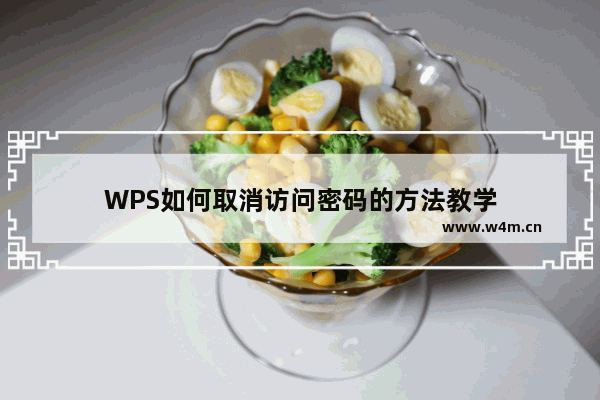 WPS如何取消访问密码的方法教学