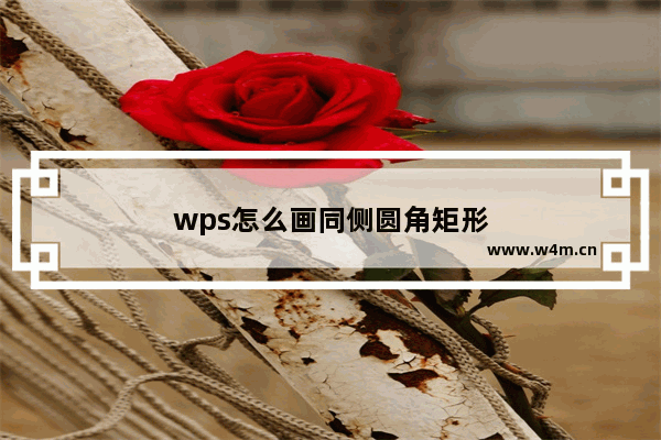 wps怎么画同侧圆角矩形