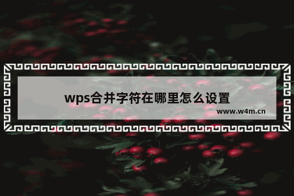 wps合并字符在哪里怎么设置