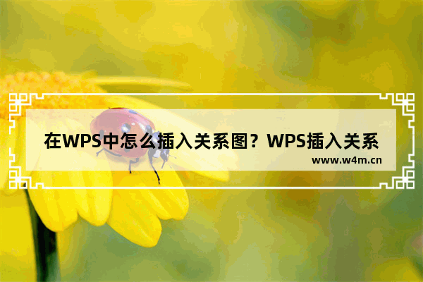 在WPS中怎么插入关系图？WPS插入关系图教程