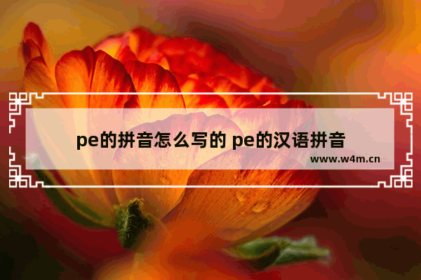 pe的拼音怎么写的 pe的汉语拼音