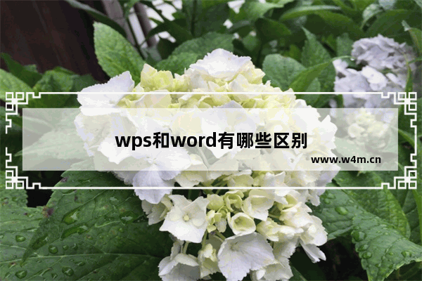 wps和word有哪些区别