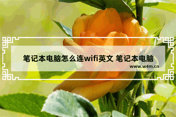 笔记本电脑怎么连wifi英文 笔记本电脑怎么连接中文wifi