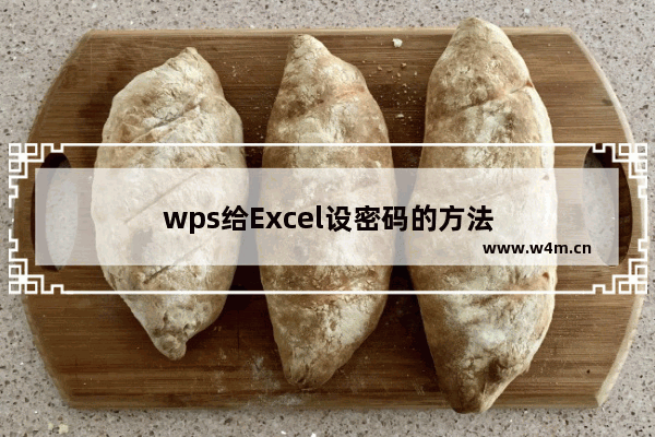 wps给Excel设密码的方法