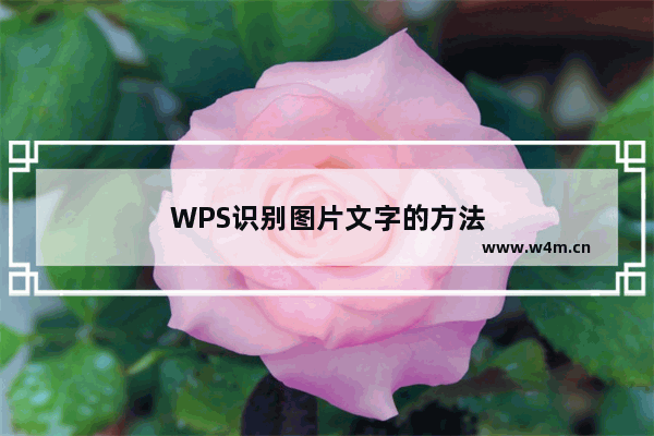 WPS识别图片文字的方法