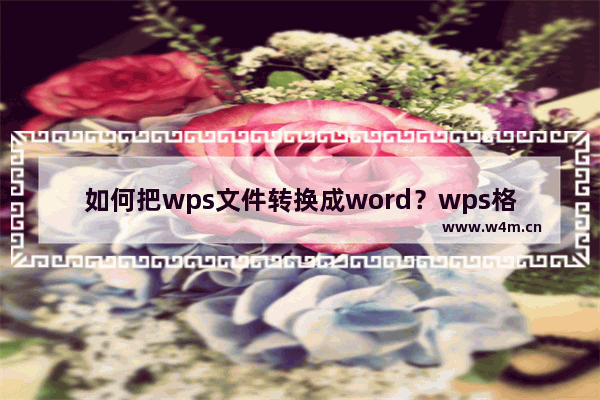 如何把wps文件转换成word？wps格式转换成word的方法技巧