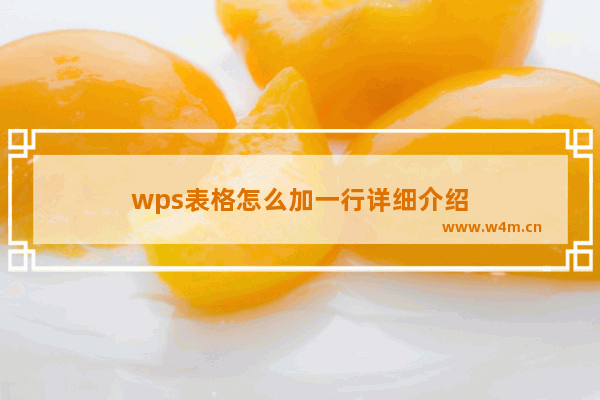 wps表格怎么加一行详细介绍