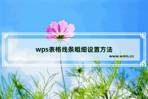 wps表格线条粗细设置方法