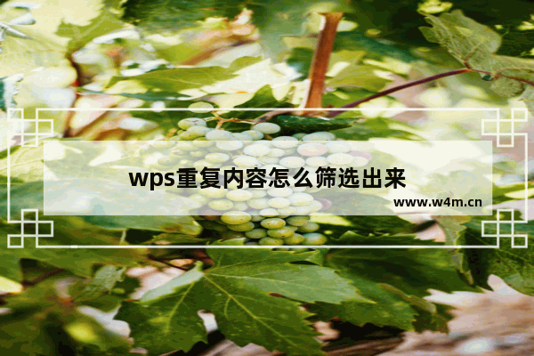 wps重复内容怎么筛选出来