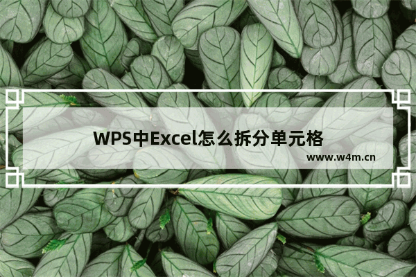 WPS中Excel怎么拆分单元格