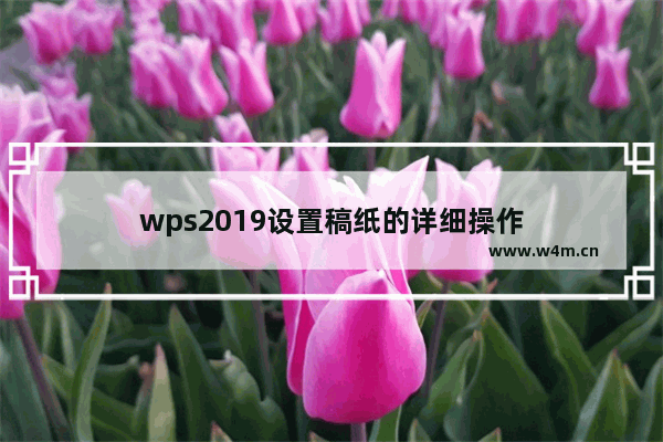 wps2019设置稿纸的详细操作