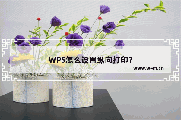 WPS怎么设置纵向打印？