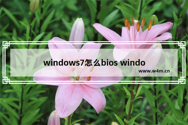 windows7怎么bios windows7怎么变得不卡