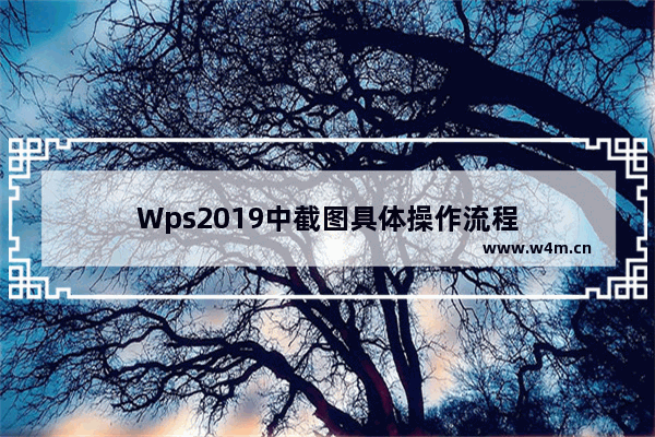 Wps2019中截图具体操作流程