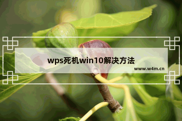 wps死机win10解决方法